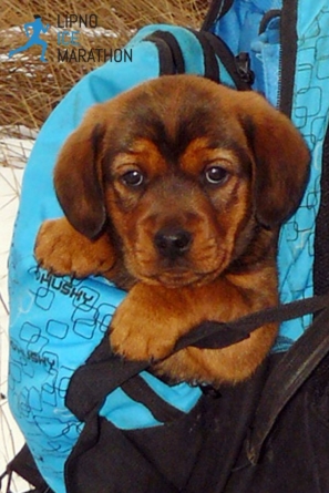 Děkujeme dobrovolníkům